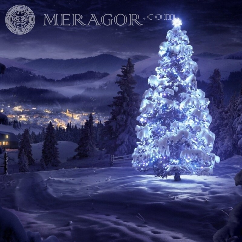 Árbol de navidad en la imagen del bosque para avatar Fiesta Para el año nuevo
