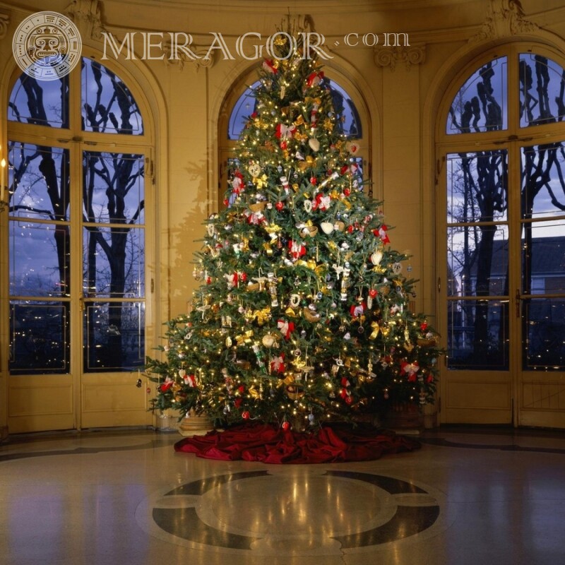 Avatar con árbol de Navidad para niña Fiesta Para el año nuevo
