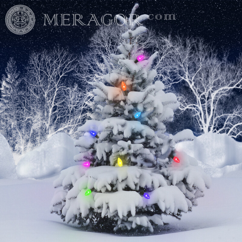 Árvore de natal no avatar da foto Feriados Para o ano novo