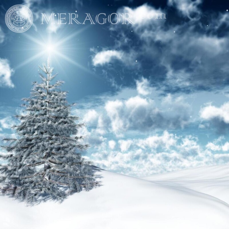 Árbol de Navidad en la nieve en el avatar. Fiesta Para el año nuevo