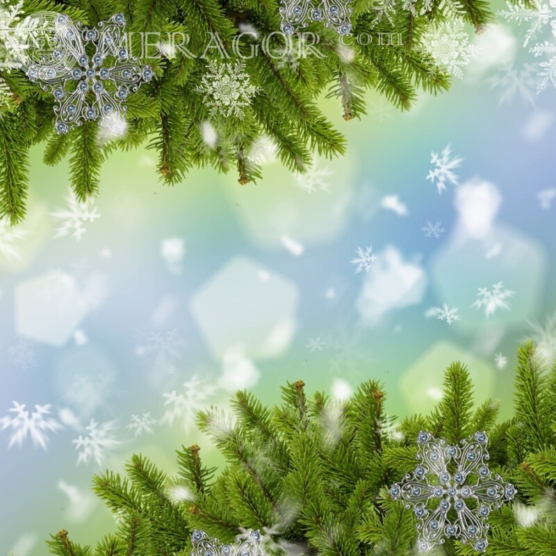 Weihnachtshintergrund für Avatar Feierzeit Weihnachten Avatare