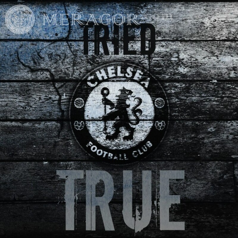 Chelsea FC Logo auf dem Profilbild Club-Embleme Sport Logos
