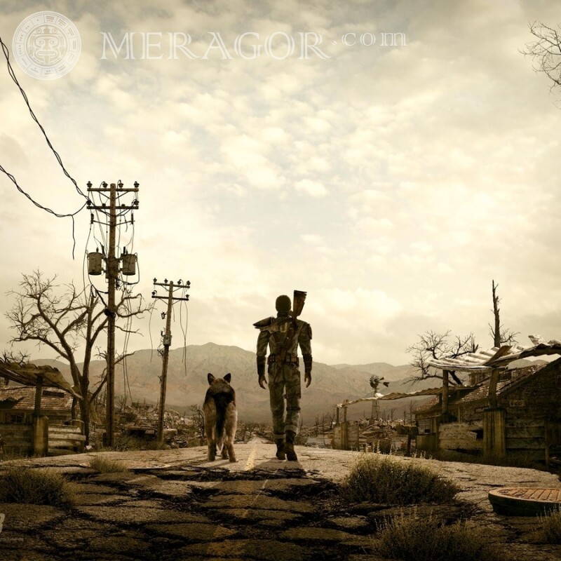 Foto de perfil de download Fallout Fallout Todos os jogos