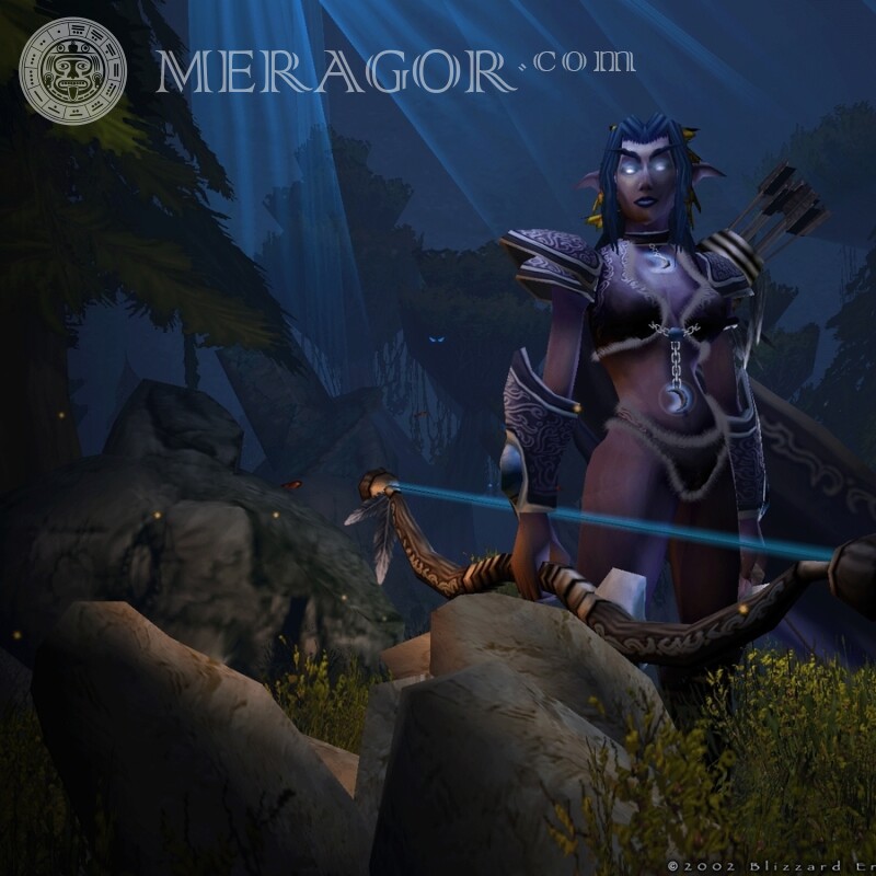 Laden Sie das Warcraft-Bild in Ihr Profilbild herunter World of Warcraft Alle Spiele