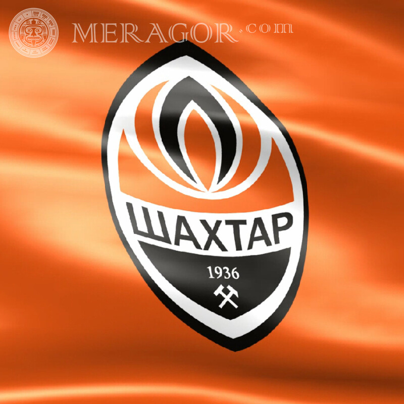 Логотип футбольного клуба Шахтер ава Club emblems Sport Logos