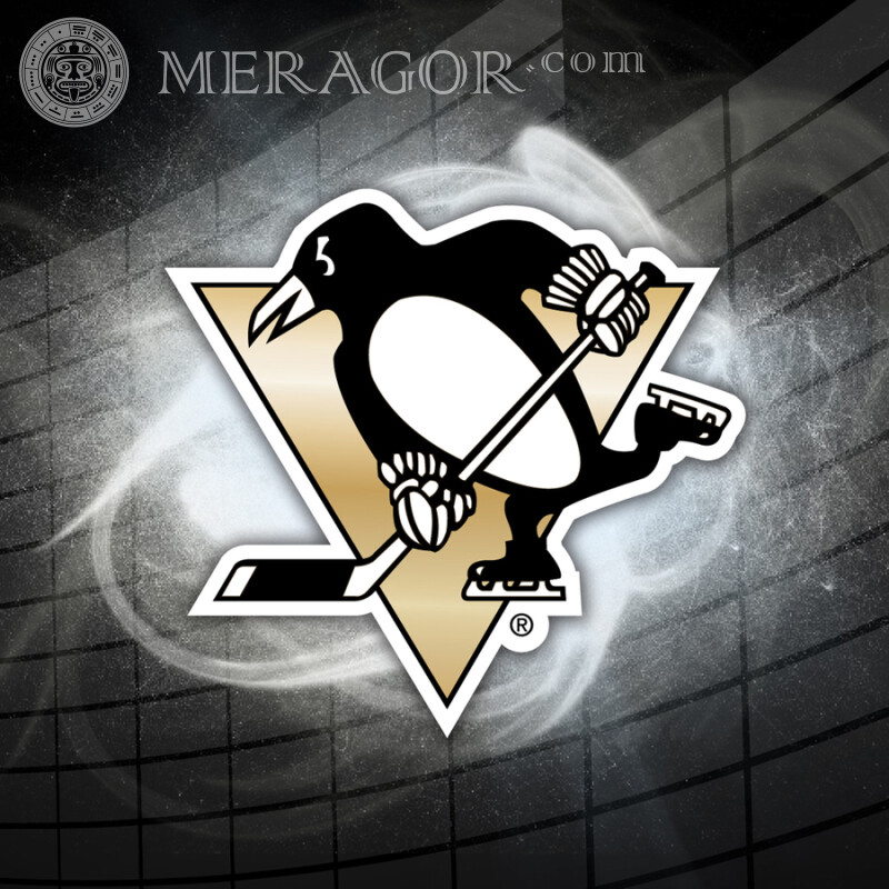 Logo du club de hockey Pingouins sur l'avatar Emblèmes du club Sport Logos