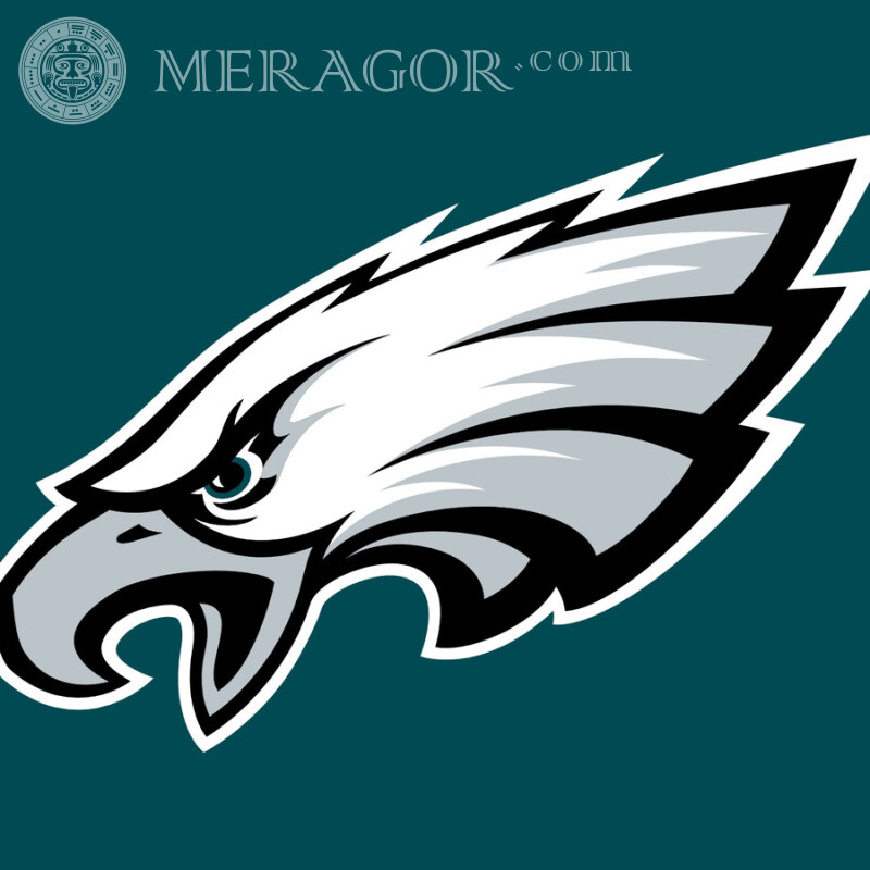 Emblème des Eagles de Philadelphie pour la photo de profil Emblèmes du club Sport Logos