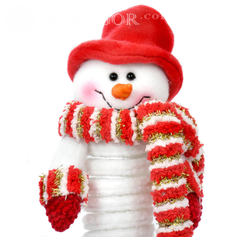 Muñeco de nieve en avatar Fiesta Para el año nuevo
