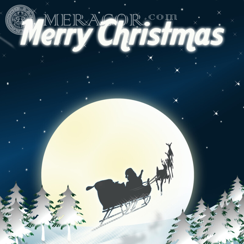 Merry Christmas picture for icon Holidays New Year