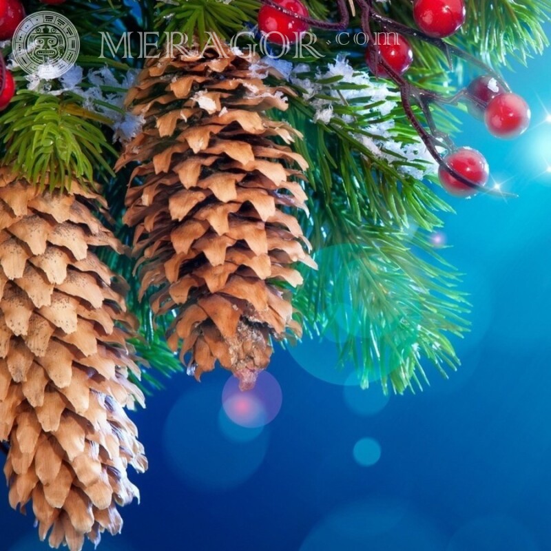 Schönes Neujahrsbild zum Download von VK Feierzeit Weihnachten Avatare