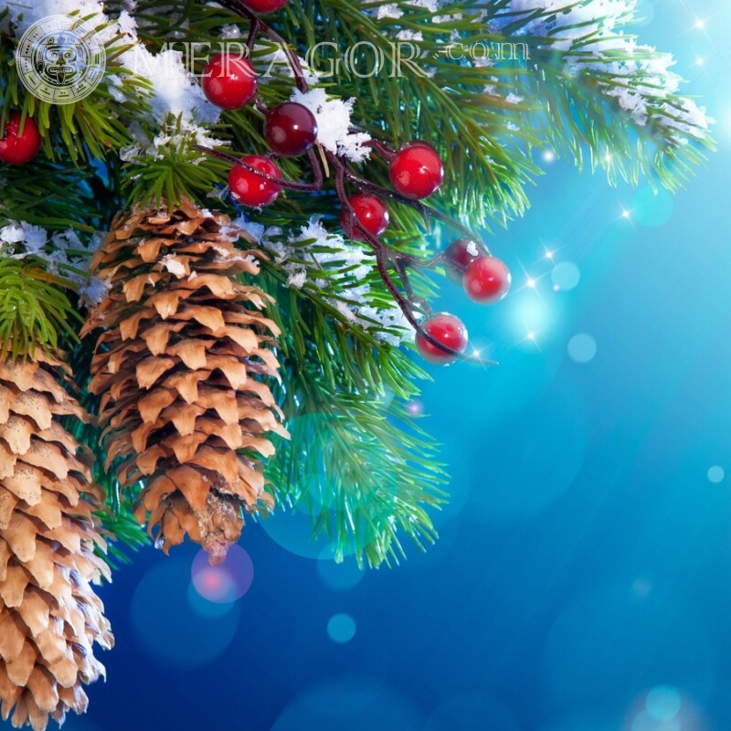 Hintergrund für Profil zum Neujahrs-Download Feierzeit Weihnachten Avatare