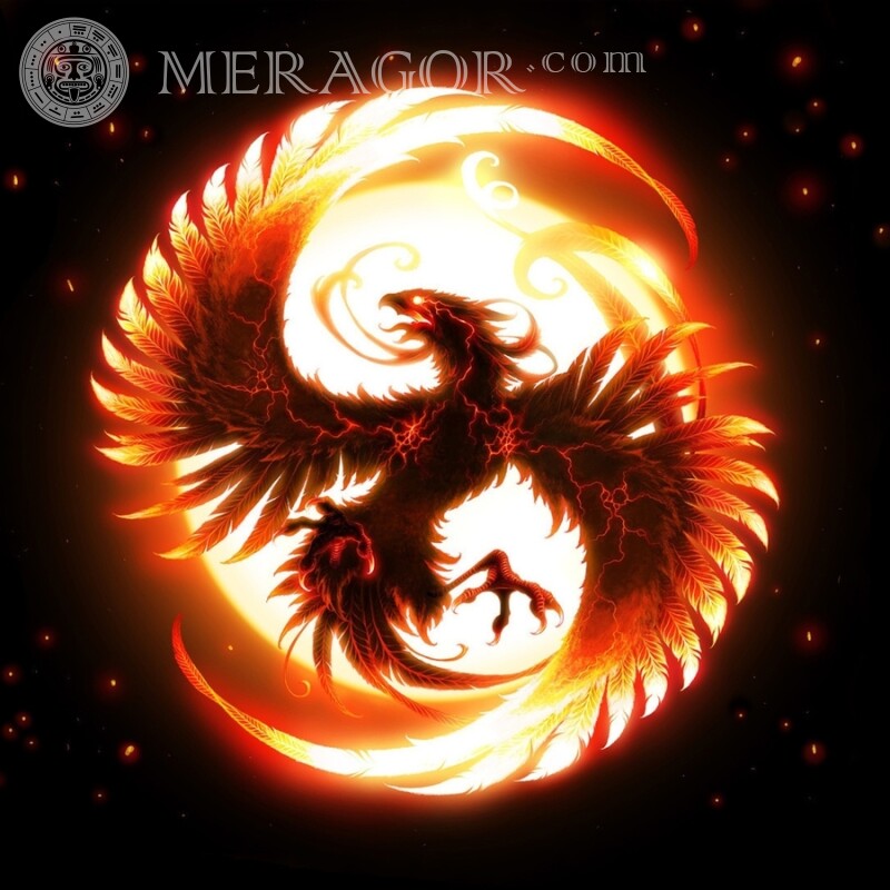 Download do logotipo da Phoenix Logos Para o clã Aves