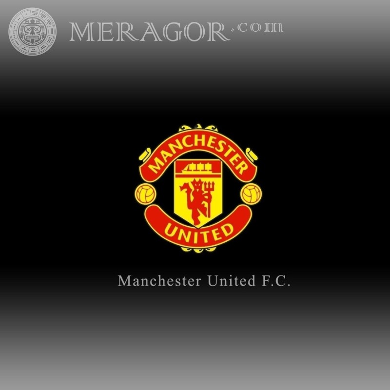 Emblème de Manchester United sur la photo de profil Emblèmes du club Sport Logos