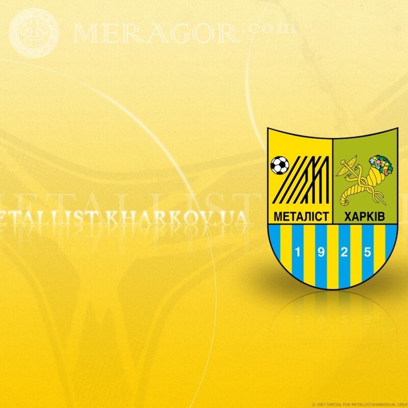 The emblem of the Kharkiv Metallist on the profile picture Club emblems Sport Logos