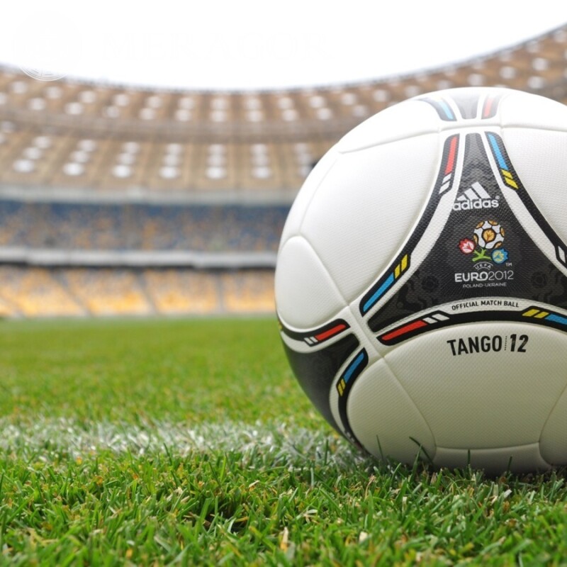Soccer ball with Euro 2012 emblem on your profile picture Logos Football