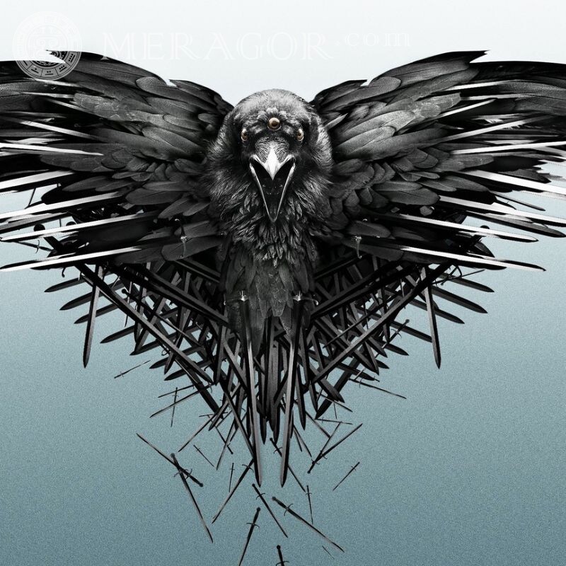 Game of Thrones Krähenspiel auf Avatar Alle Spiele Für den Clan Vogel