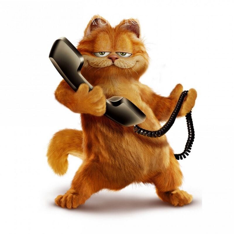 Garfield el gato en avatar Caricaturas Cotos Animales divertidos