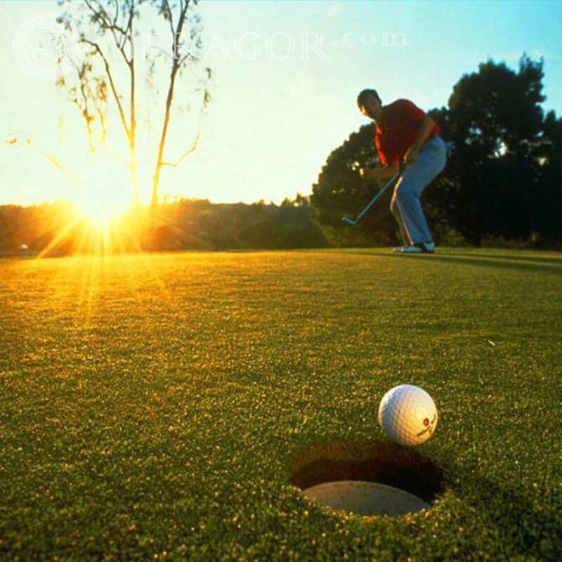 Photo de profil de joueur de golf Sportifs En pleine hauteur Gars Hommes