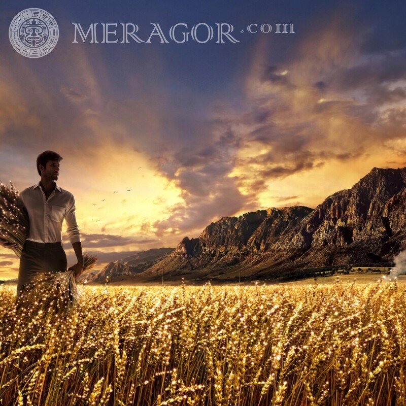 Парень на пшеничном поле картинка на аву Парни Мужики Природа