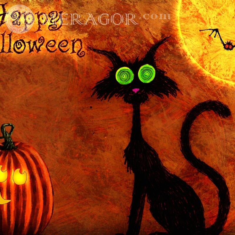 Imagen de Halloween en el avatar de TikTok Fiesta
