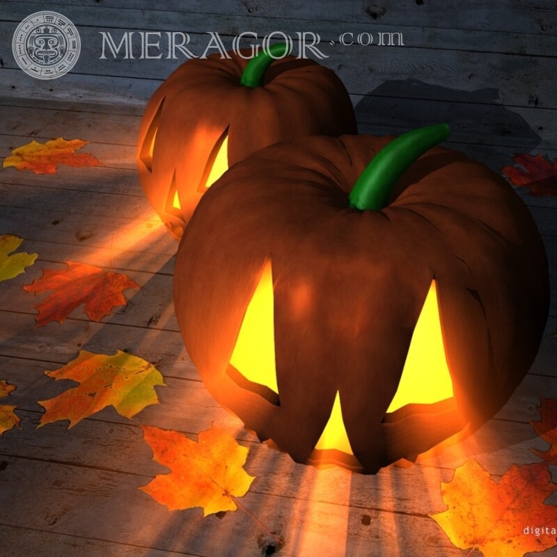 Photo d'avatar Halloween Fêtes