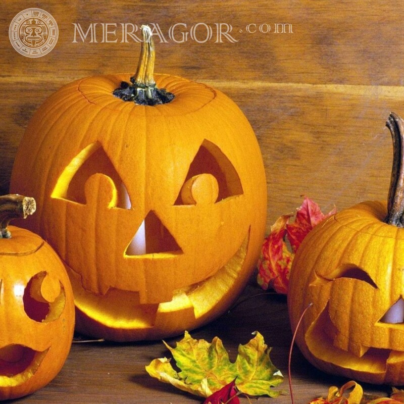 Halloween pumpkin image download Holidays