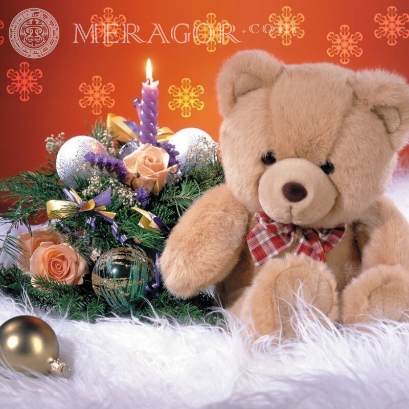 Avatar with a teddy bear Holidays Bears New Year
