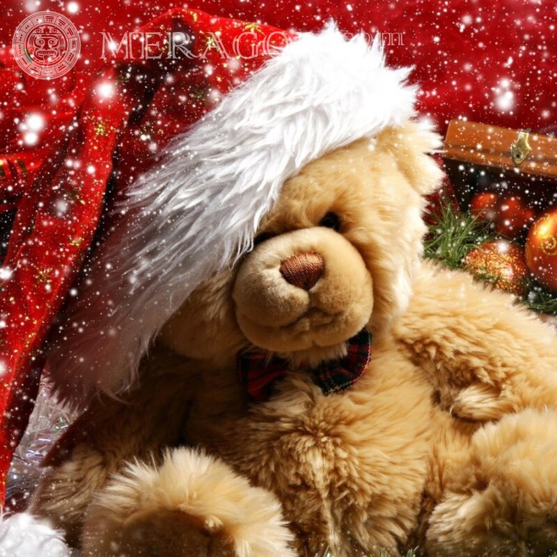 Télécharger l'avatar de l'ours en peluche Fêtes Ours de Nouvel an