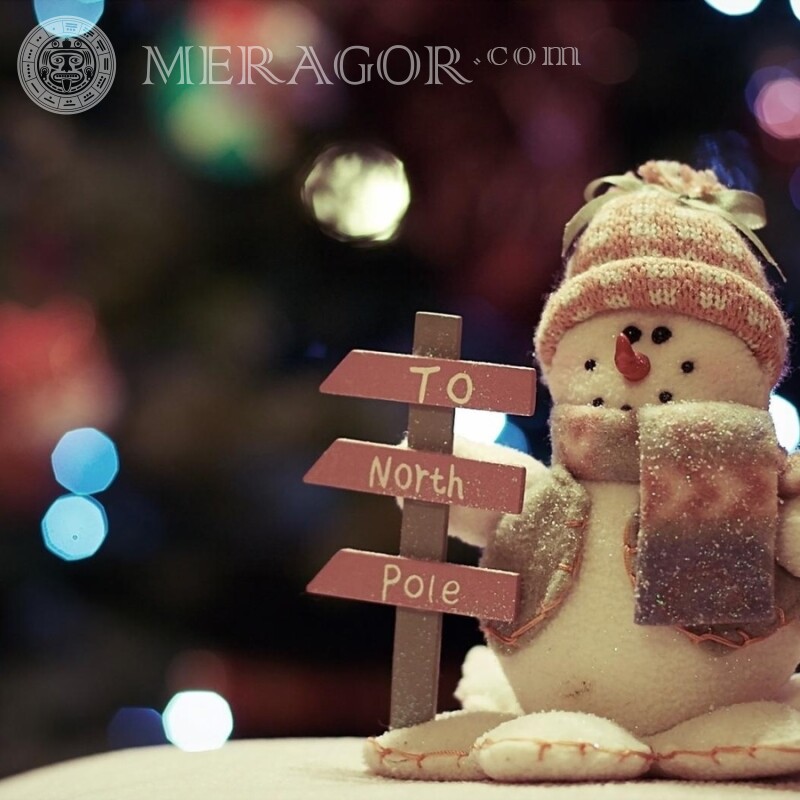 Download do avatar do boneco de neve Feriados Para o ano novo
