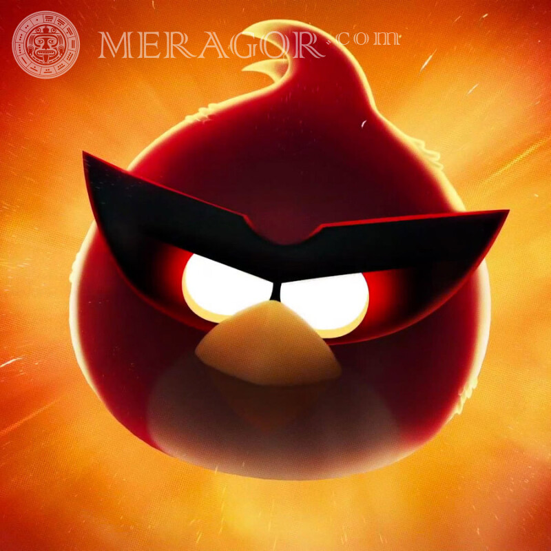 Angry Birds laden Sie das Foto kostenlos auf Ihren Avatar herunter Angry Birds Alle Spiele