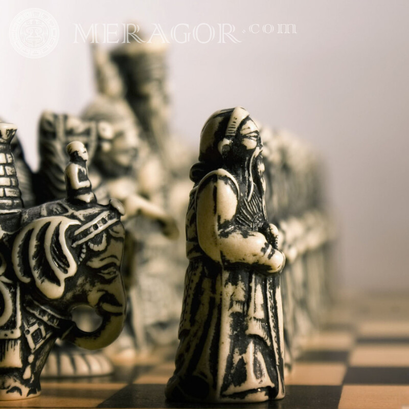 Téléchargez la photo d'échecs pour votre photo de profil gratuitement Échecs Tous les matchs
