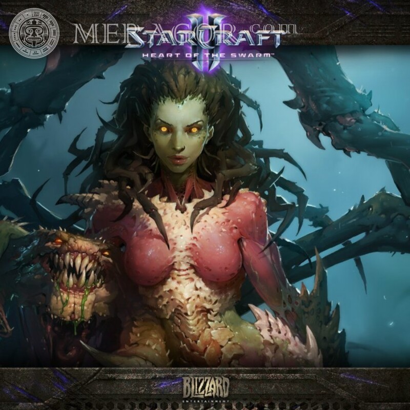 StarCraft Foto herunterladen Alle Spiele