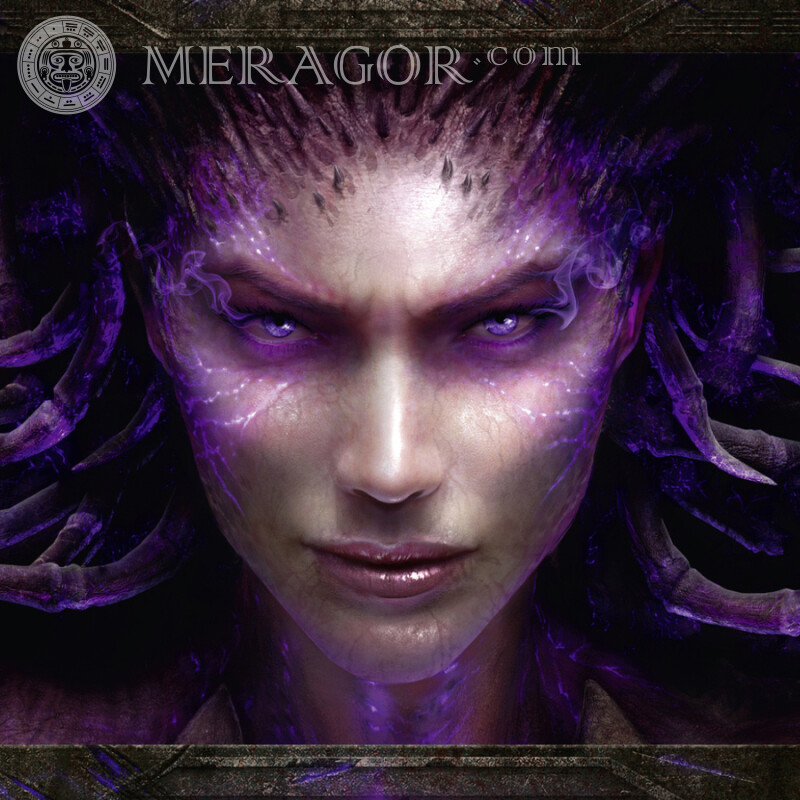 Download Starcraft photo for avatar for free All games