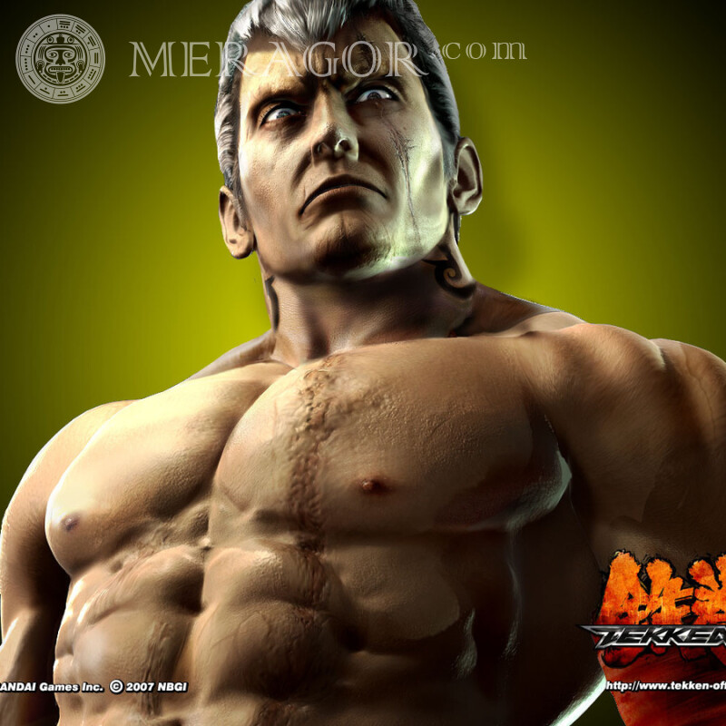 Descarga la foto de TEKKEN en el avatar del juego Tekken Todos los juegos