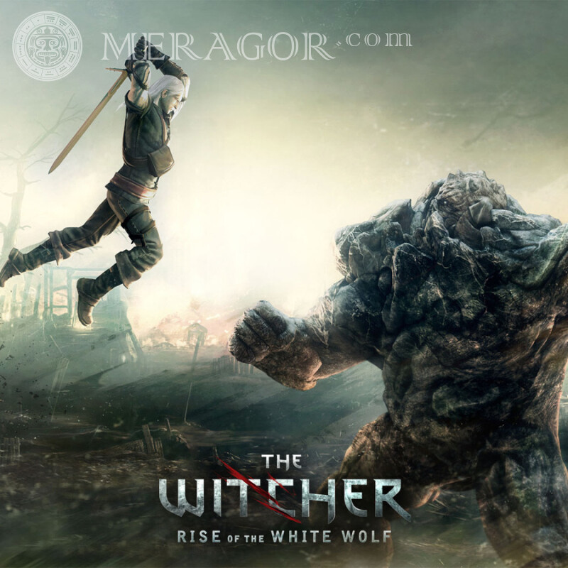 The Witcher скачать фото The Witcher Todos los juegos