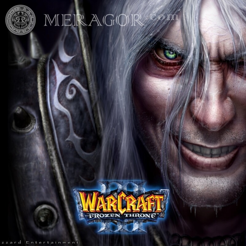 Скачать фото из игры Warcraft World of Warcraft All games