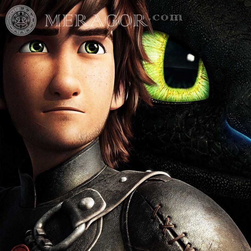 How to train your dragon avatar picture Cartoons