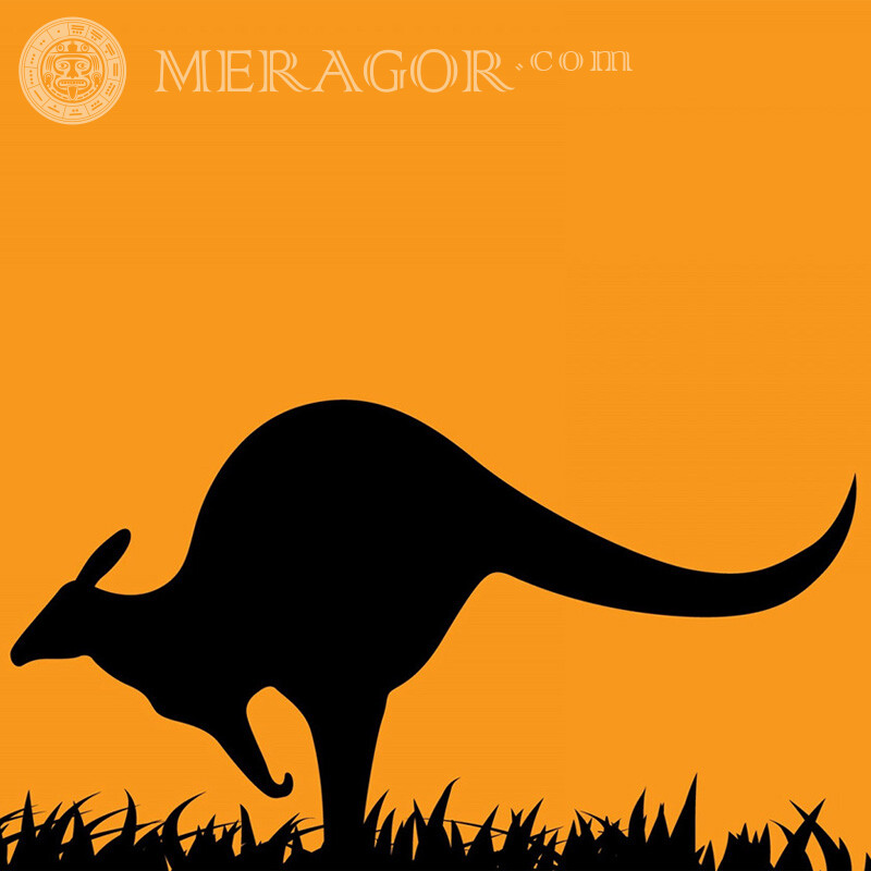 Kangourou silhouette ava Autres animaux