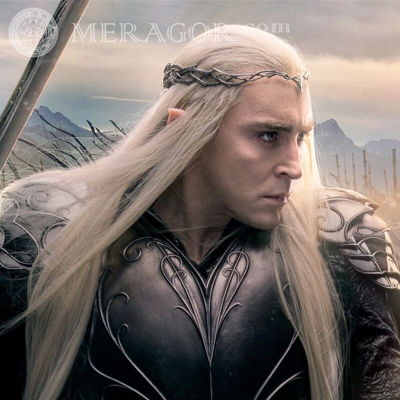 Elves from The Lord of the Rings for icon Faces, portraits Long hair With weapon