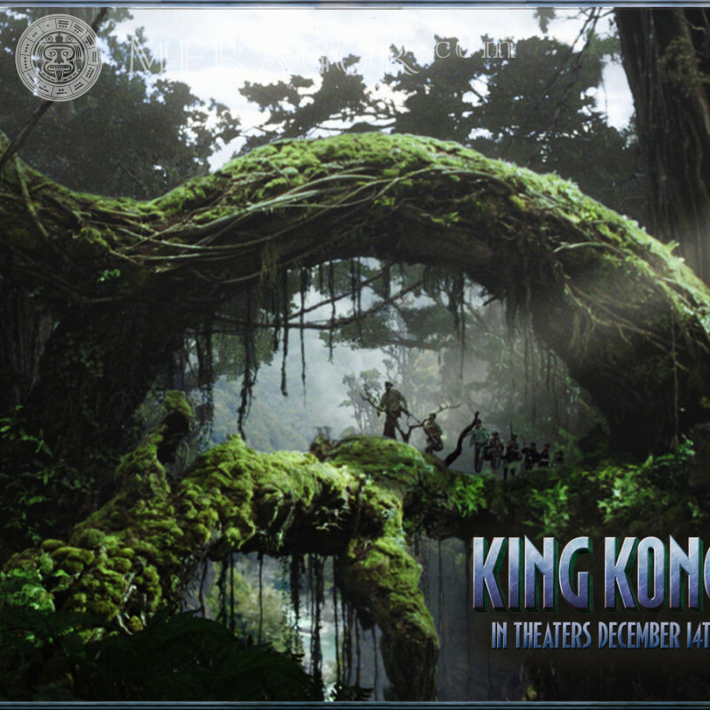 Foto de King Kong do filme na foto do perfil Dos filmes