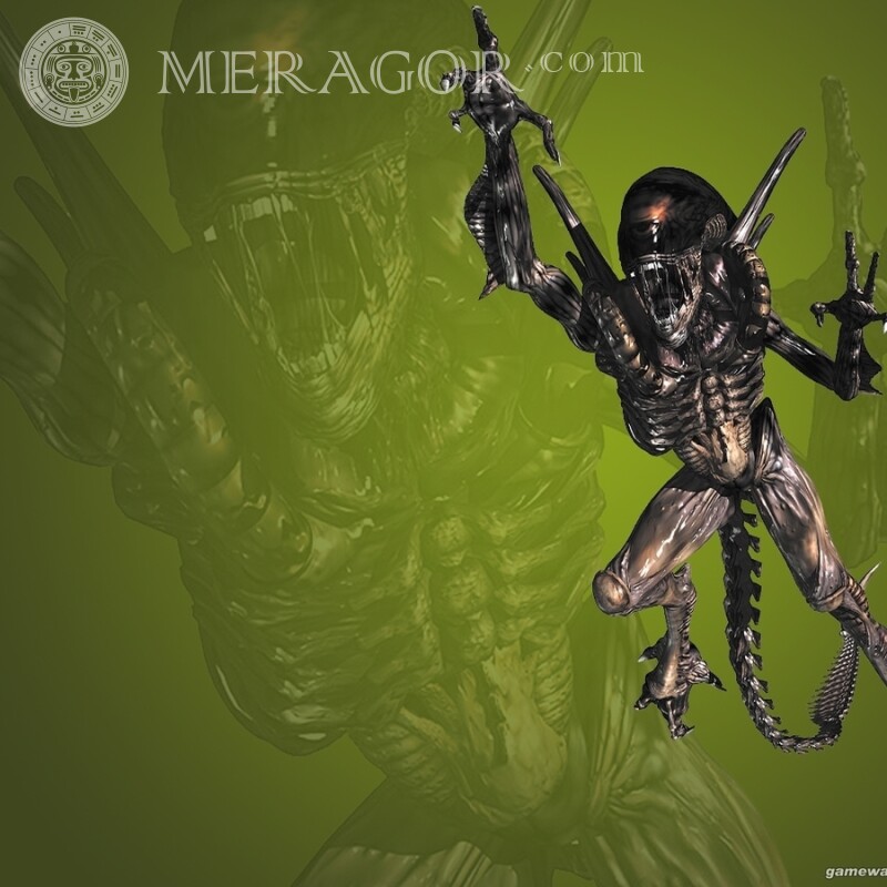 Alien from the movie picture on the avatar From films