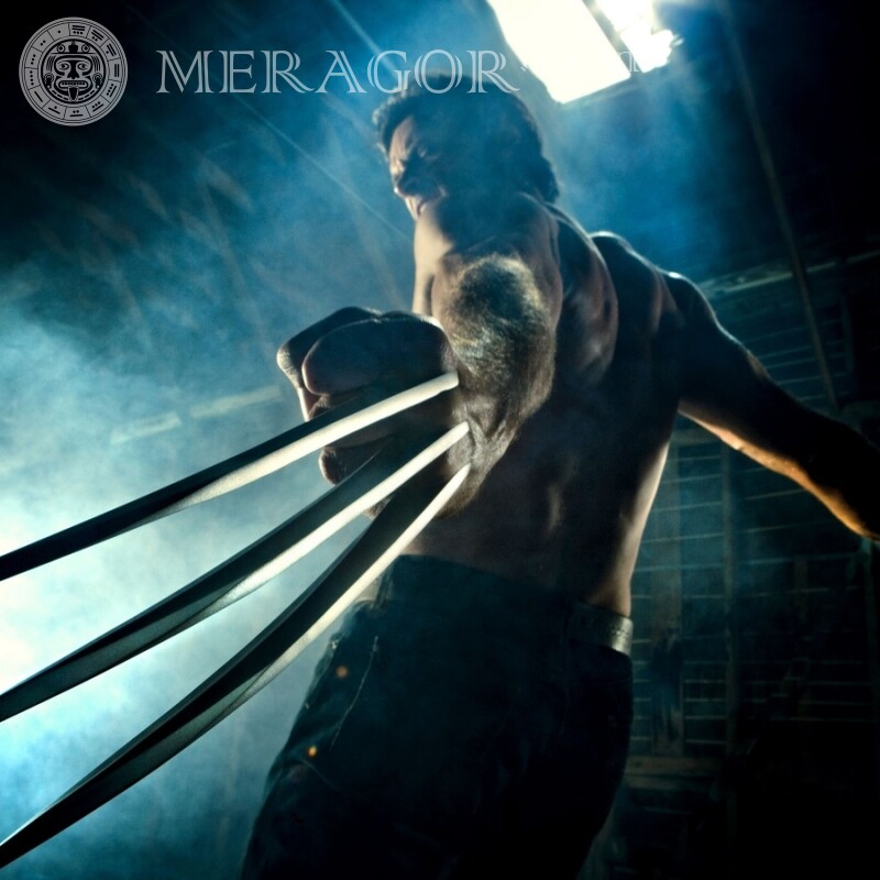 X-Men Wolverine on avatar photo From films