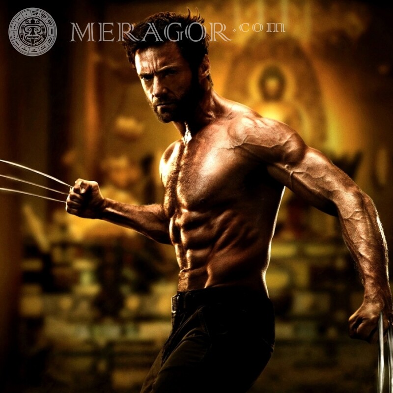 Wolverine en postura de lucha de ava De las películas