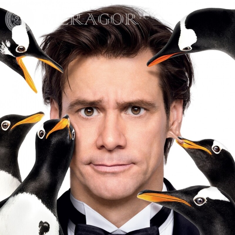 Jim Carrey with penguins download on avatar From films Funny
