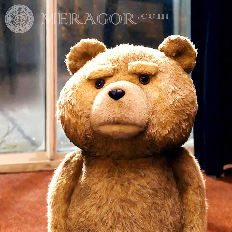 Третій зайвий ведмідь на аватарку на профіль З фільмів Ведмідь