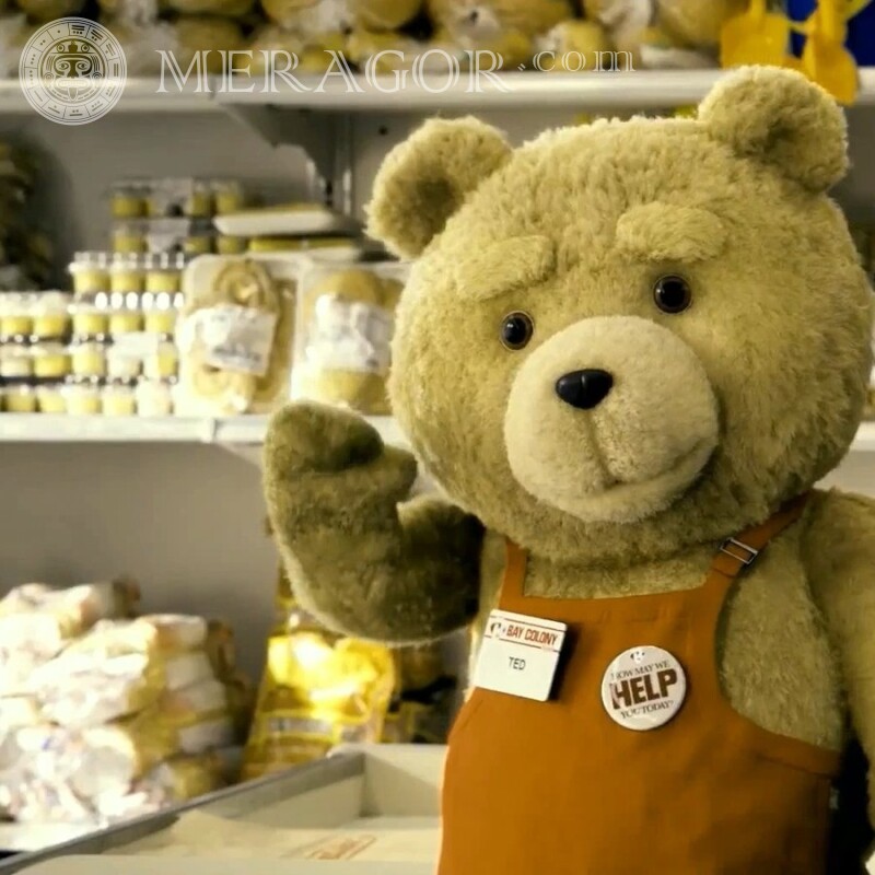 El tercer oso extra en la imagen del avatar De las películas Osos