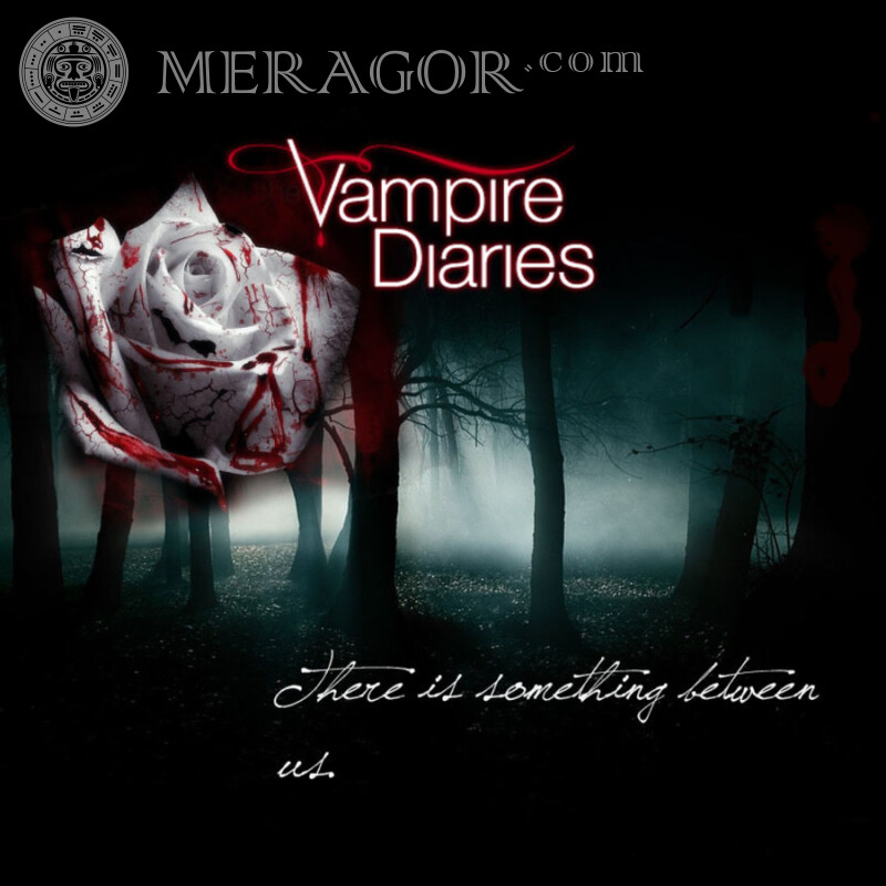 Download da imagem do avatar dos diários de vampiro Dos filmes