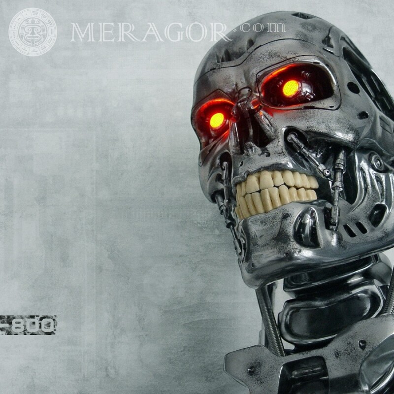 Crânio de ciborgue do avatar Terminator Dos filmes Robôs