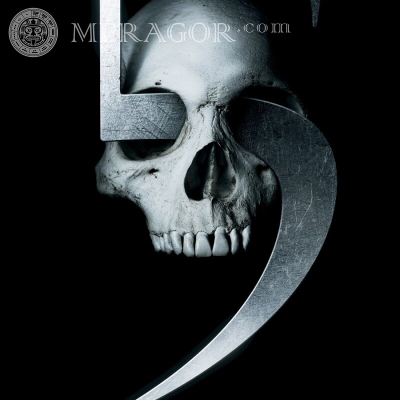 Skull with a scythe avatar From films