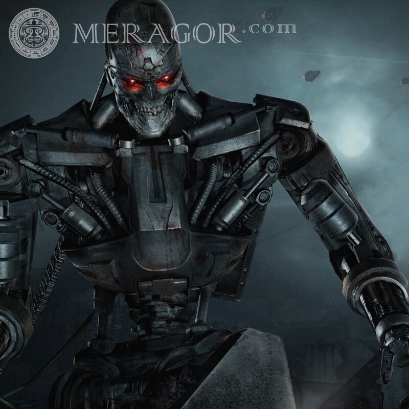 Terminator iron skeleton avatar From films Robots